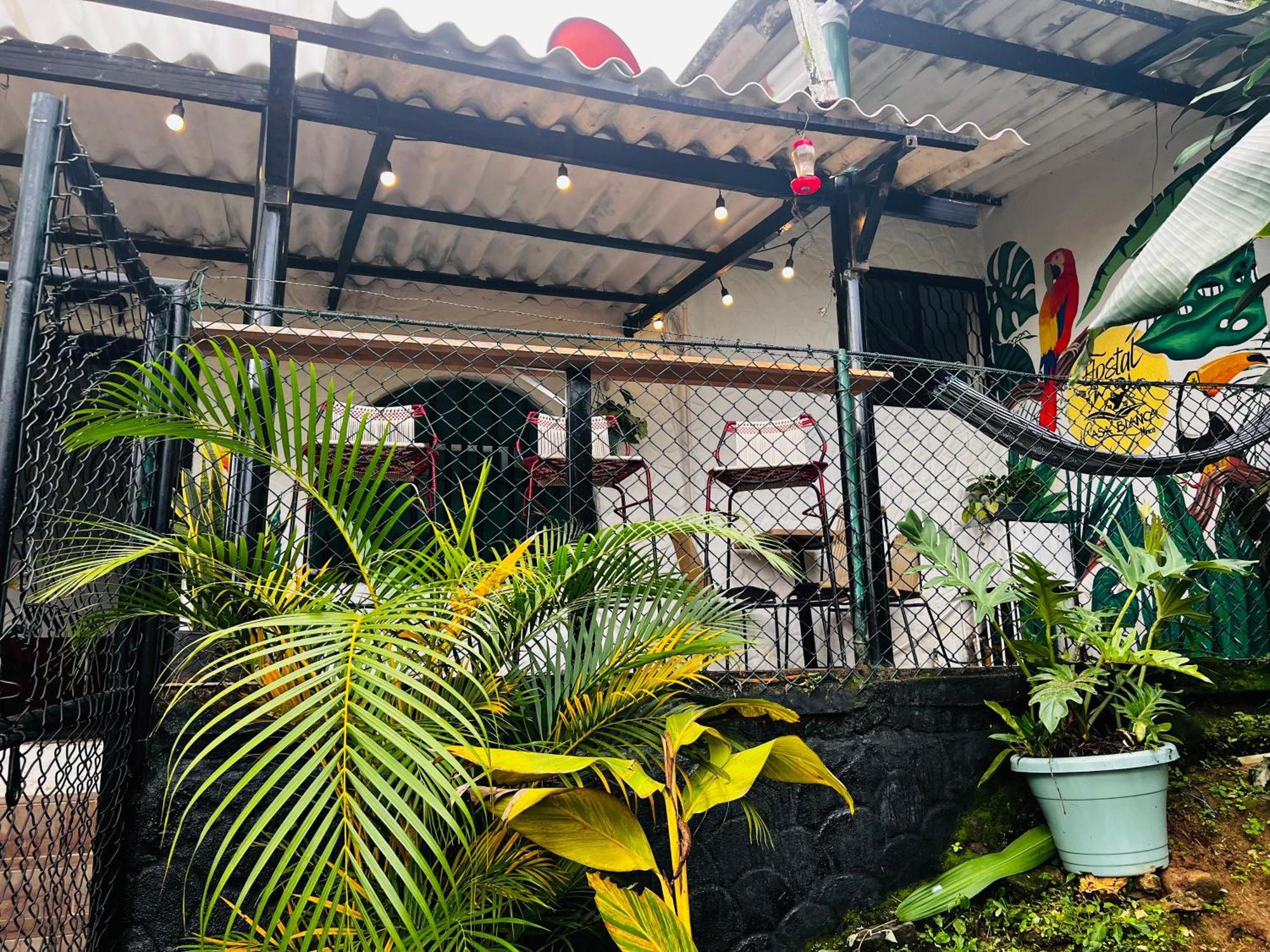 Casa Blanca Hostal Minca Buitenkant foto